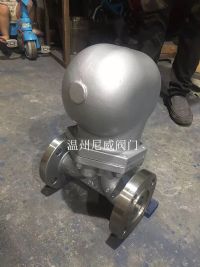 杠桿式疏水閥